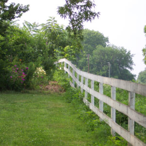 Fence to Nowhere
