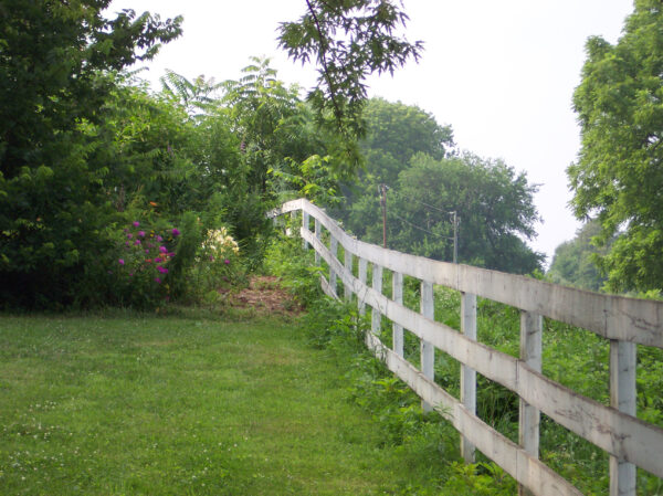 Fence to Nowhere