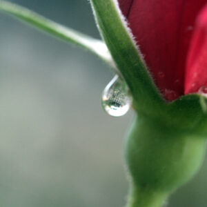 A Drop in Time