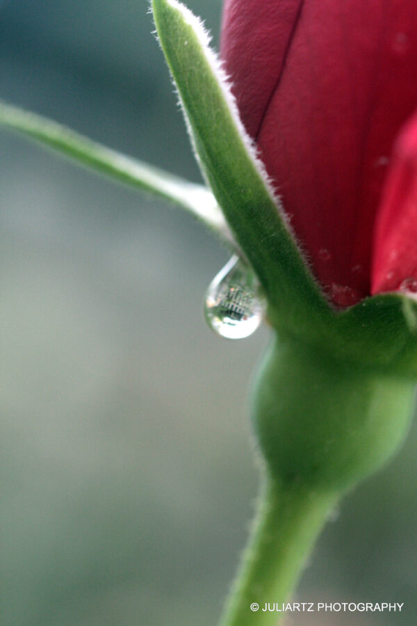 A Drop in Time