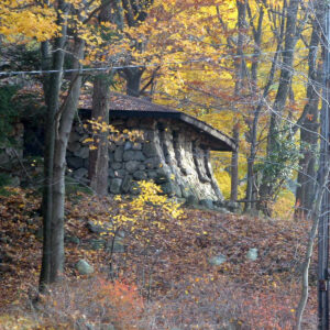Lost House