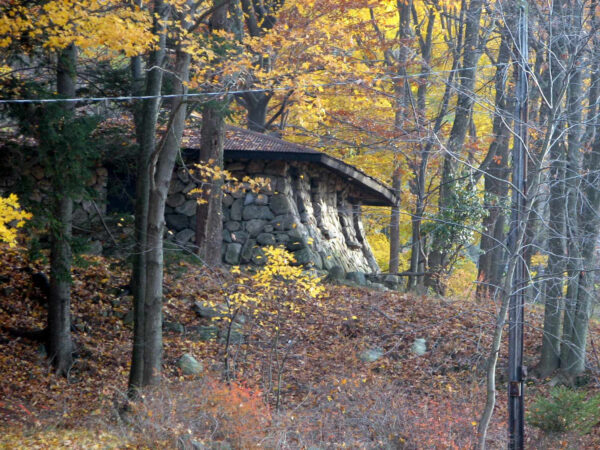 Lost House