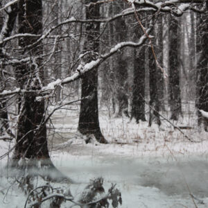 Frozen in Time