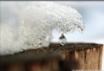 Ice Diamond