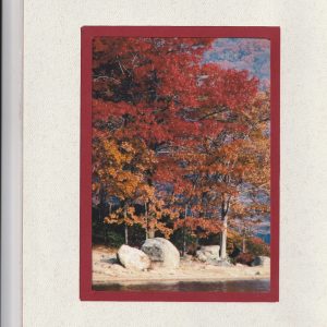 Colorful Quiet Place