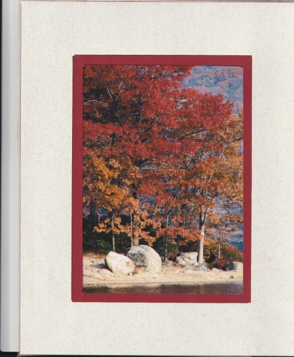 Colorful Quiet Place