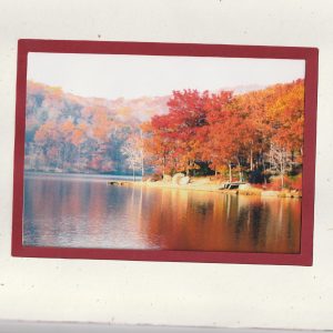 Reflections 2