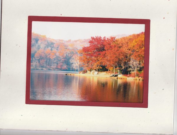 Reflections 2