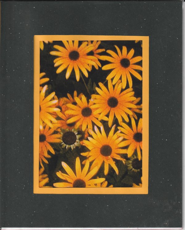 Patch of Susans