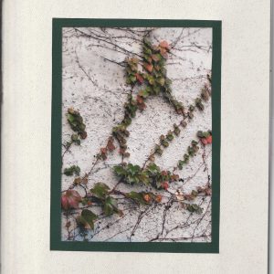 Entanglement
