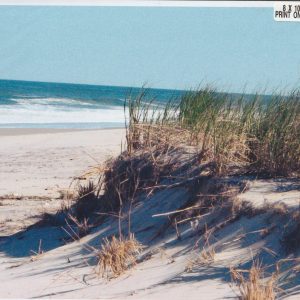 New Jersey Shoreline