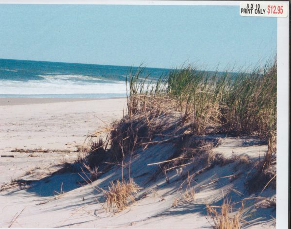 New Jersey Shoreline