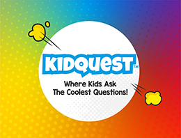 Kid Quest